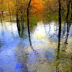 фото "Pastel autumn lake"