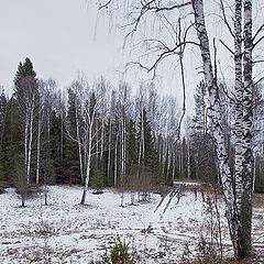 фото "Предзимье..."