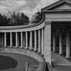 photo "colonnade"