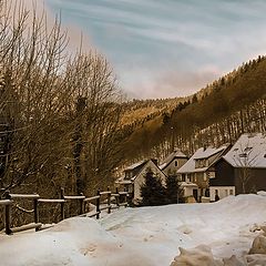 photo "Winter in the Harz"