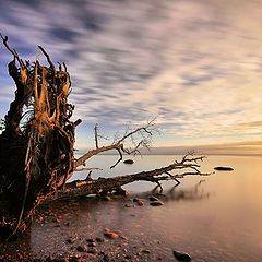 фото "Baltic Sea"