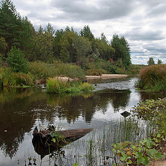 фото "Тихие места"