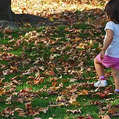 photo "Walk In The Leaves"