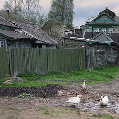 фото "Неяркая весна"