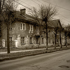 photo "Street"