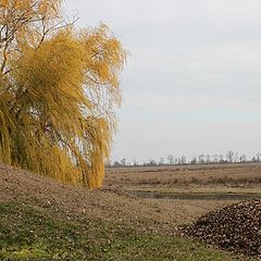 фото "Осень  (северный Крым)"