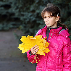 фото "Золотой веер"