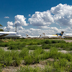 фото "Кладбище самолётов..."
