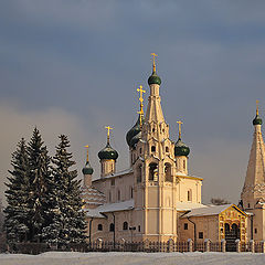 фото "В лучах зимнего солнца"