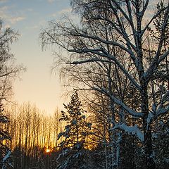 photo "Winter sunset"