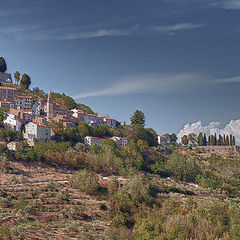 photo "Motovun"