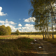 фото "Бабье лето"