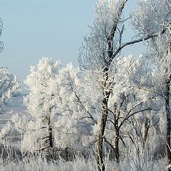 фото "Зимний танец"