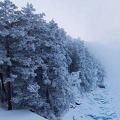 фото "Катунь. Морозное утро."