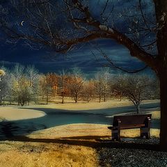 photo "Mystic Moonlight"
