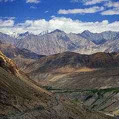 фото "ladakh"