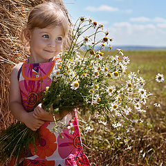 фото "Ромашки"