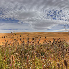 photo "Fall's sky"