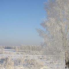 фото "Серебро Зимы"