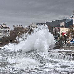 фото "зимнее море"