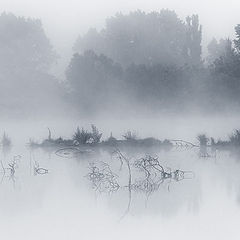 фото "Водорастворимость"