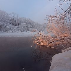 фото "Фрагмент зимнего утра - 2"