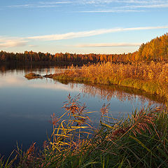 фото "На закате"