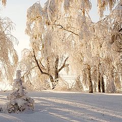 фото "Свет..."