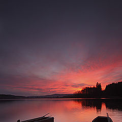 photo "Loneliness"