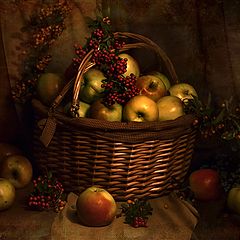 photo "Still Life with Apples"