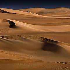photo "Sand Dunes"
