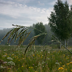 фото "Утро. Скоро в полёт"