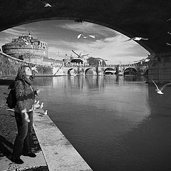 photo "A proposito di alimentazione gabbiani sulle rive del Tevere"