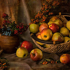 photo "Still Life with Apples"