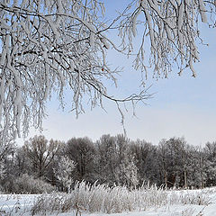 фото "Запорошило"