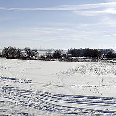 photo "Frost and sun, a wonderful day;)"