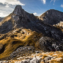 фото "Dog's mountains"