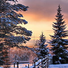 фотоальбом "Архангельск"