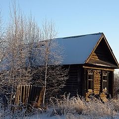 фото "Пригрелся на солнышке."