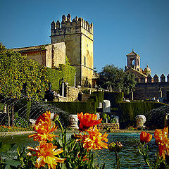 photo "Garden of Alcazar of Cordoba"