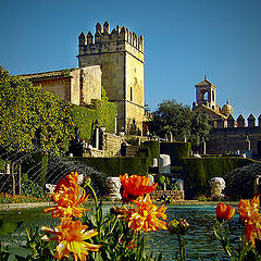 фото "Garden of Alcazar of Cordoba"