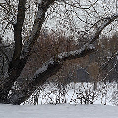 фото "Зимние краски."