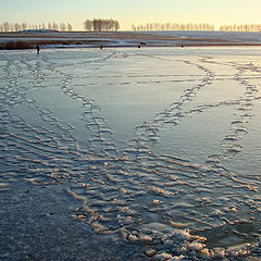 фото "..все мы вышли из воды.."