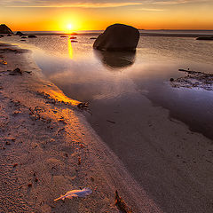 photo "Lofoten"