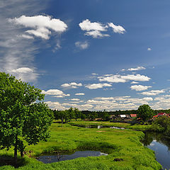 фото "Заливные места"