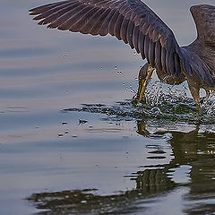 фото "Fishing"