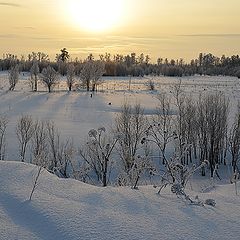 фото "На закате"