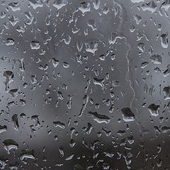 фото "Следы дождя"