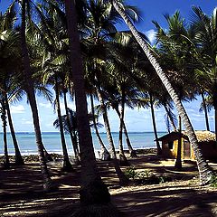 photo "Japaratinga Beach"