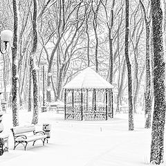 photo "Snowfall"